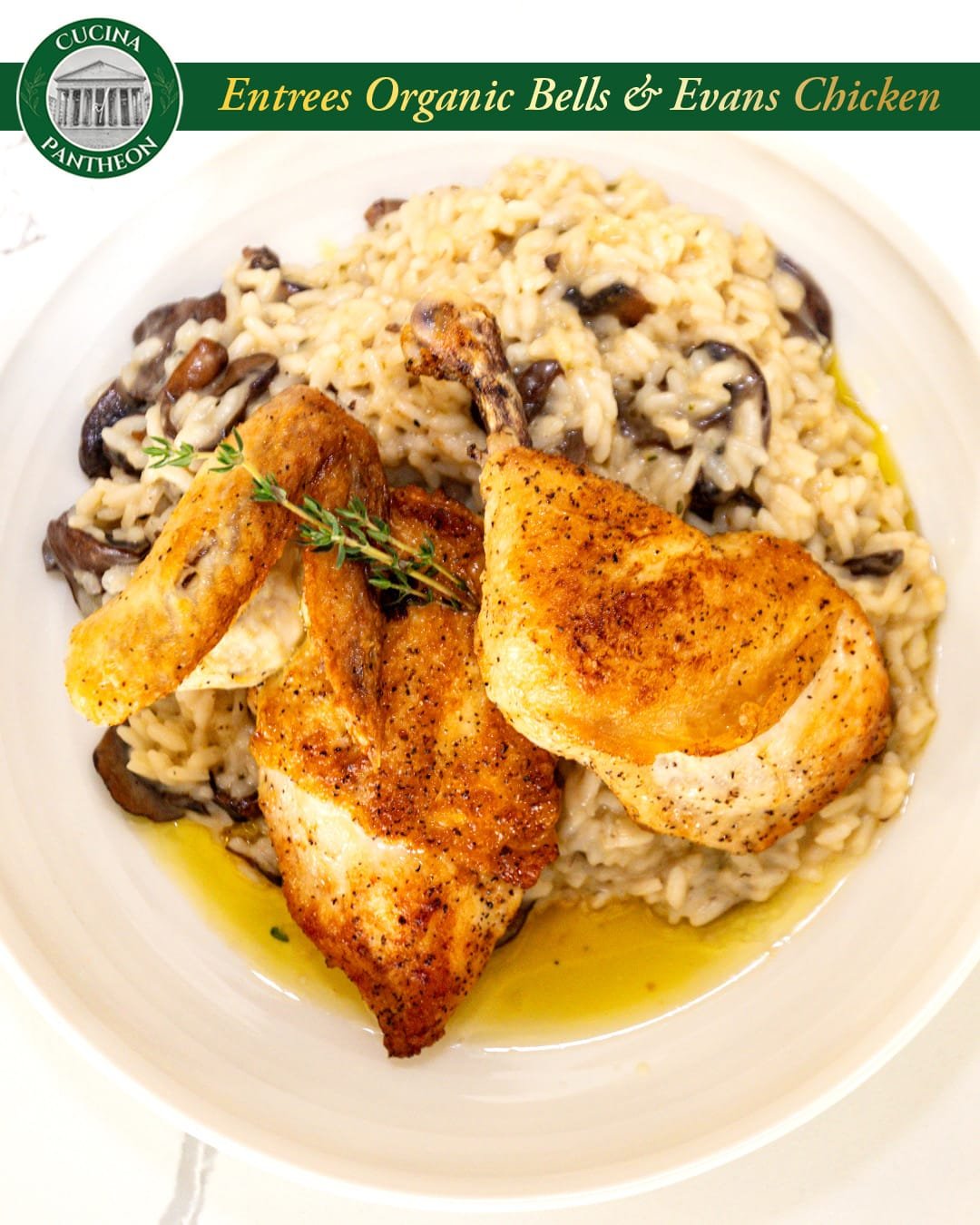 Organic Bells Evans Chicken